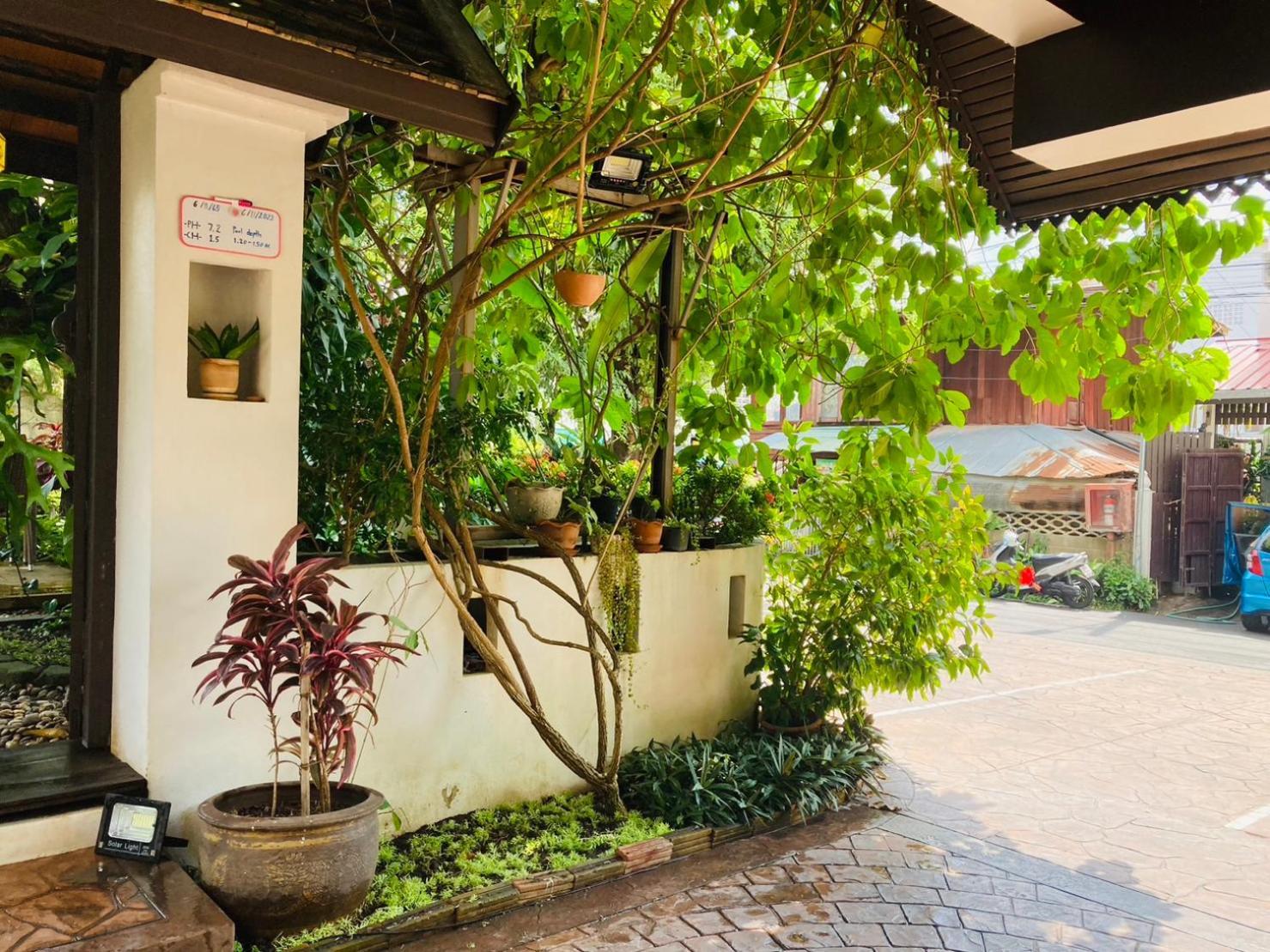 Wiriya House Hostel - Chiang Mai — Photos 3